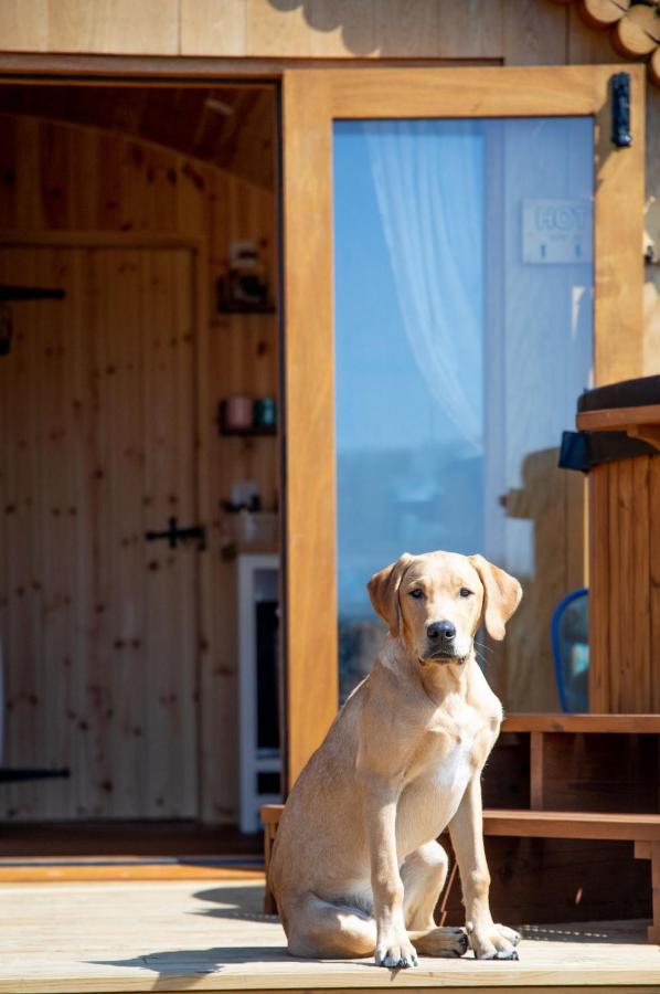 Barnhorn Glamping Βίλα Hooe Εξωτερικό φωτογραφία